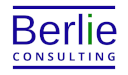 Berlie Consulting Logo