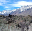 Sierra Nevada Range